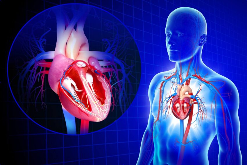 Unveiling Insights into Cardiovascular Diseases